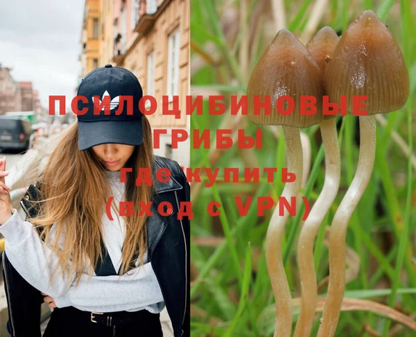 первитин Нея